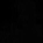 Luis Queiroz - Facebook