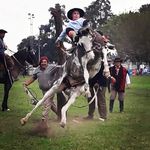 Luis Quiroga - @luisquiroga022 - Instagram
