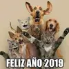 Luis Renderos2835 - @luisrenderos47 - TikTok