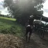 LuisRafael - @luisrevuelta2901 - TikTok