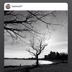 Luis Miguel Reza - @luisreza77 - Instagram