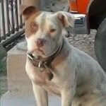 Reza Hernandez Luilli - @luisreza60 - Instagram