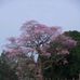 Luis Rezende - Facebook