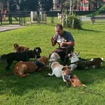 Luis Riaño - @dogtrainer.luis - Instagram
