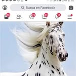 Luis Riaño - @luis.riano.3745 - Instagram
