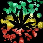 Luis Ribera - @luisribera0184 - Instagram