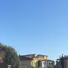 Luis ribot - @luisriibot - TikTok