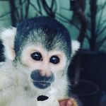 Luis Richter - @luis_richter_rma - Instagram