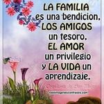 Luis Robaina - @luis.robaina - Instagram