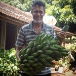 Luis Robaina - @luiscarlosrobaina - Instagram