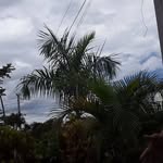 Luis Robayo - @luis.robayo.969 - Instagram