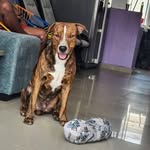 Luis Robayo - @luisrobayo19 - Instagram