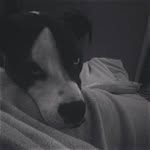Luis Robbins - @nummurmakok - Instagram