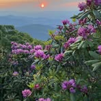 Luis Roberson - Facebook