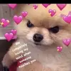 LUIS ROBERT - @luisrobert066 - TikTok
