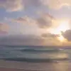 luis robertson - @luis.robertson8 - TikTok