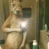 Luis Robinson - @luis.robinson61 - TikTok