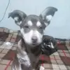 Luis1502 - @luisrock07 - TikTok