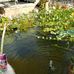 Luis G. A Z Landscape and Rock Patios - Facebook