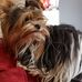 Marie-Luise Roeder - Facebook