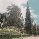Luis Rogers - @luisrogers272 - Instagram