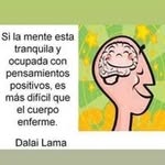 Luis Rogers Castillejos - @luisrogerscastillejos - Instagram