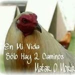 Luis Rojelio Avila Beltran - @luisrojelioavilabeltran - Instagram