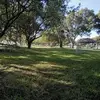 Luis Rolando - @luis.rolando5 - TikTok