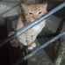 Luis Rosal - Facebook