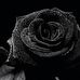 Luis Rose - Facebook