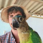 Luis Rosenberg - @luiselund - Instagram