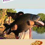 Luis Rosendo - @_luisrosendo - Instagram