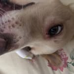 Luis Molina - @luis_.rosete - Instagram