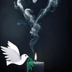 Luis Rousseau - @luis_roussaeu - Instagram