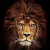 luisrousseau35 - @luisrousseau35 - TikTok