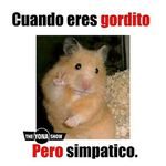 Jose Luis Rubalcaba 778 - @rubalcabaj - Instagram