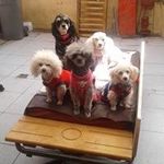 Luis Sagredo - @luis.sagredo299 - Instagram