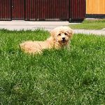 Luis sagredo - @sagredo67 - Instagram