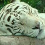 Luis Schultz - @luis.schultz.940 - Instagram