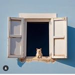 Luis Saenz - @luis_seinz_ - Instagram