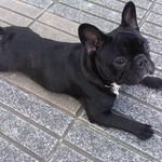 Jose Luis Seoane Sobrino - @joseluisseoanesobrino - Instagram