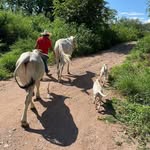 Jose Luis Osante Sereno - @luissereno03 - Instagram