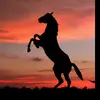 LUIS SERENO - @luisysereno - TikTok
