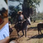 Luis Sereno Sereno - @luisantioniosereni - Instagram