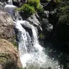 luissereno792 - @luissereno792 - TikTok