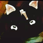 Luis Shaw Drê - @luis_shawdre - Instagram