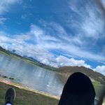 Luis Shepherd - @kluizsv - Instagram