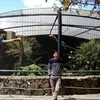 luissicha4250 - @luissicha4250 - TikTok