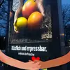 Luis Siegel - @luissiegel - TikTok