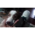 Luis David Sigaran Minero - @luisdavidsigaran - Instagram